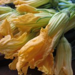 zucchini-fiori