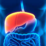 Problemi digestivi del fegato
