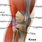 rimedi naturali dolore ginocchio